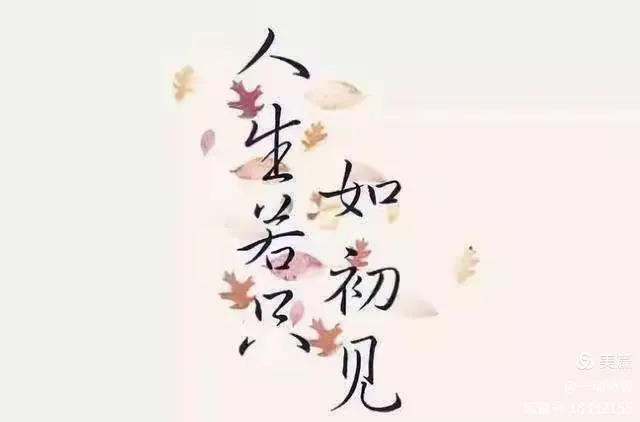 爱若只如初见